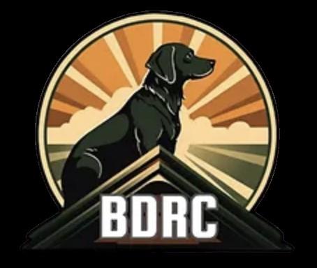 Bird Dog Roofing & Construction